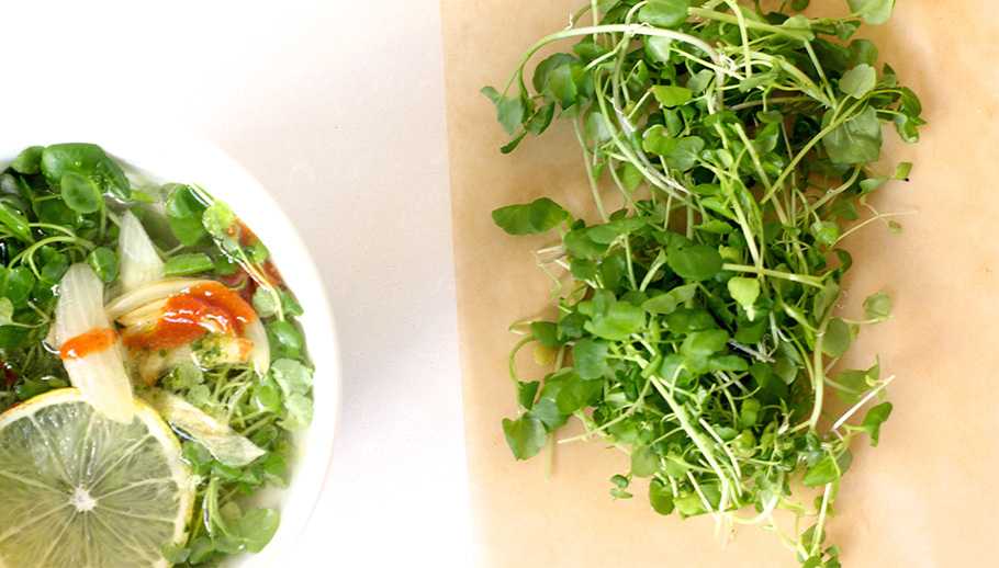 Rebalance Soup