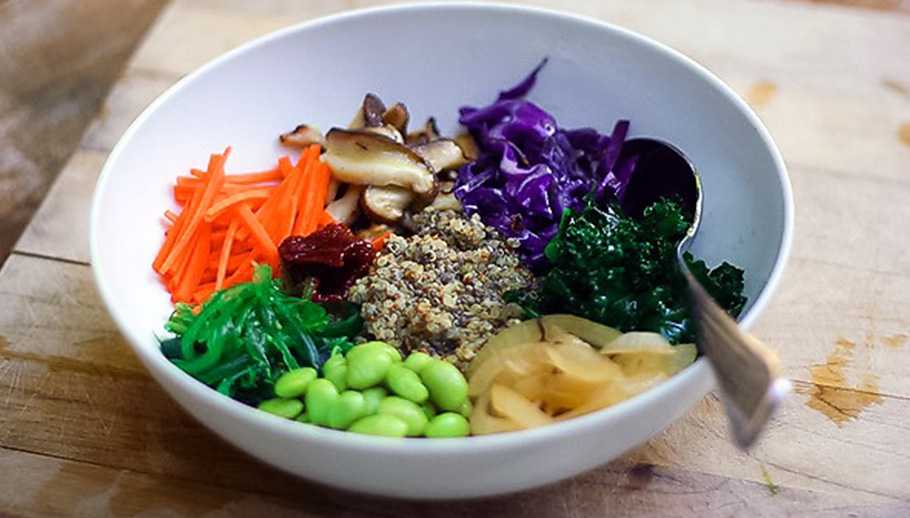 Yogi Bowls